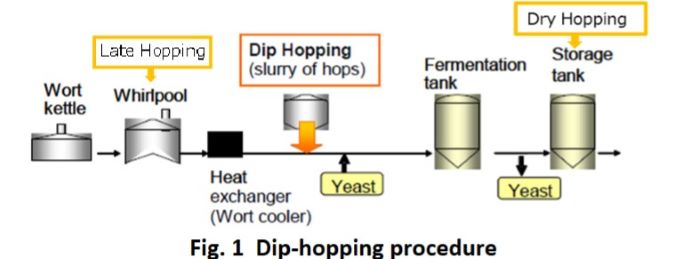 Dip hopping - Kirin research