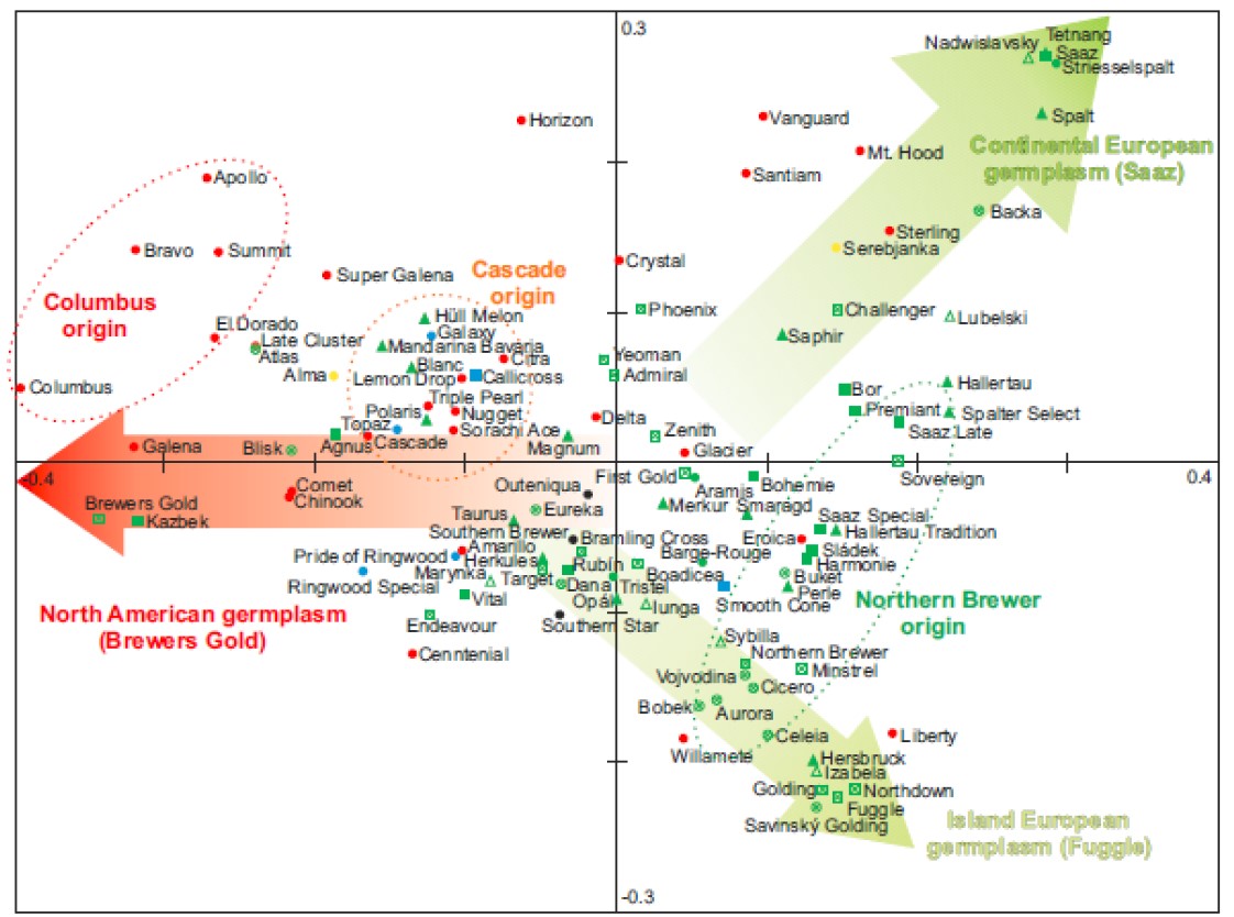 Another way to look at the relationship between hop varieties