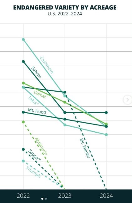 Hop varieties with shrinking acreage