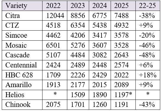 2025 hops strung for harvest in the American Northwest