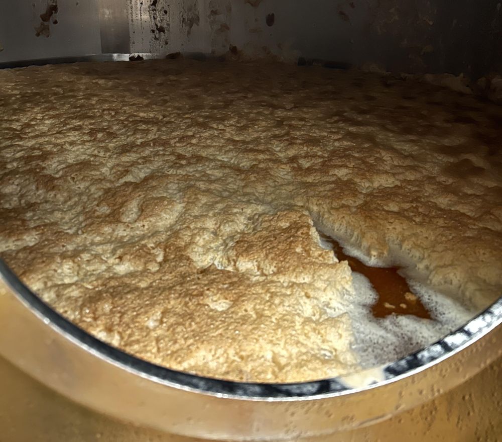 Left behind in the flotation tank during the process of creating  Amalgam Cascade Agenda